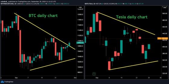 Daily charts for Tesla and bitcoin