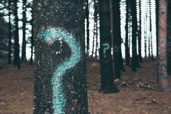 tree with a question mark spray painted on it, image manipulated to look more digital