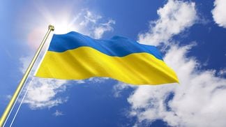 Flag of Ukraine (Kutay Tanir)