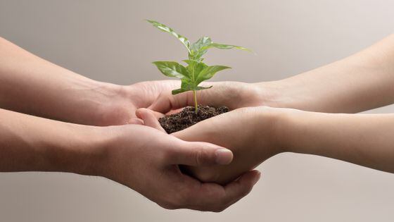 Woman and man hands holds small green plant seedling, representing funding program support for Web3 developers.