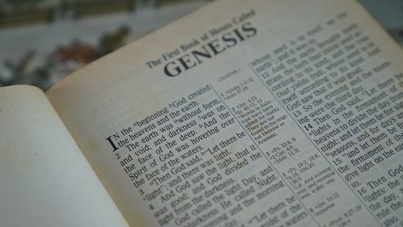 Genesis' bankruptcy plans are being opposed by Gemini and others (Spencer Wing/Pixabay)