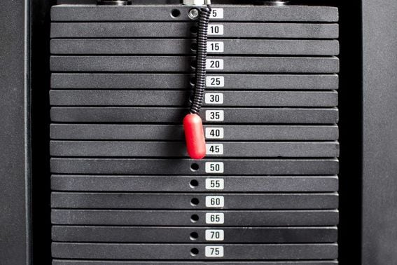 gym, weight (Shutterstock)