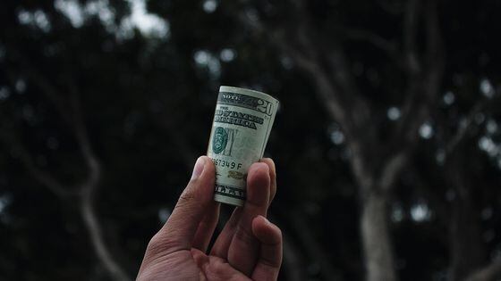 hand holding $20 bill in front of trees