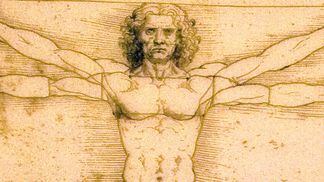 Leonardo da Vinci anatomy Renaissance