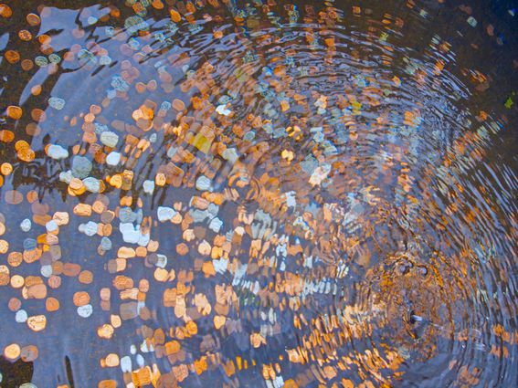 coins, water