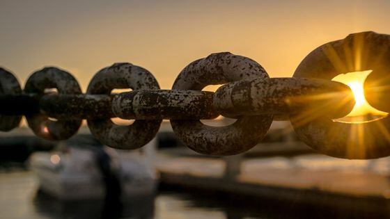 Harmony is bringing in outside participants to strengthen its chain. (Credit: Pexels)