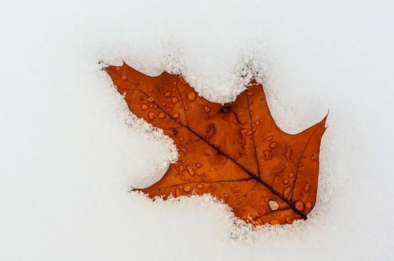 There's some $54 million of sour debt on Maple Finance's lending platform because some of its largest borrowers were devastated in the FTX-blowup. (Michael Diane/Unsplash)