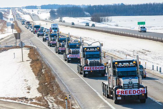 Truckers in central Alberta on their way to the Legislature Building in Edmonton (Naomi Mckinney/Unsplash)