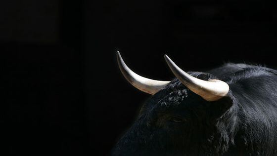 Will bitcoin's bull run continue next week? (CoinDesk archives)