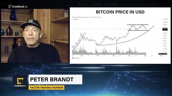 Veteran Trader Peter Brandt on Crypto Market Crash: 'Greed Puts in Top, Fear Puts in Bottom'