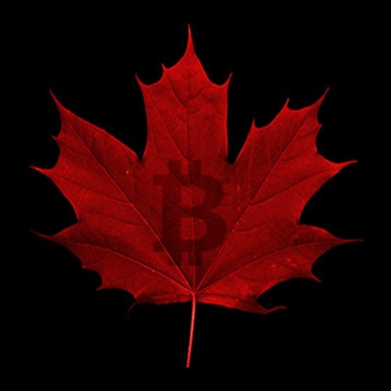 Bitcoin Alliance Canada