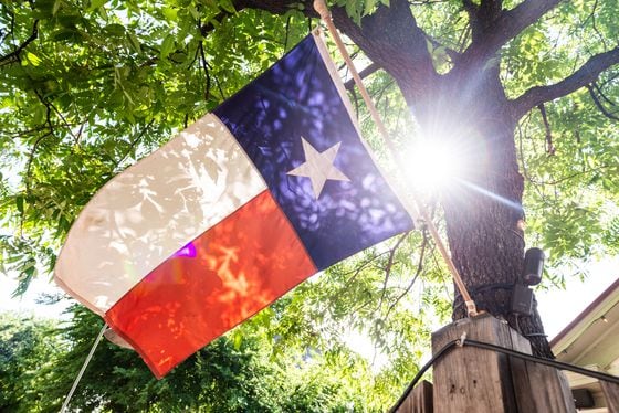 Sun Shining Through Tree Backlighting Lone Star State Flag in Austin Texas USA