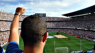 Soccer fan in stadium (Damon Nofar/Pixabay)