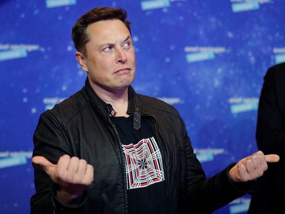 Elon Musk (Hannibal Hanschke-Pool)