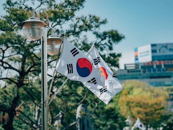 CDCROP: South Korean flags (Daniel Bernard/Unsplash)