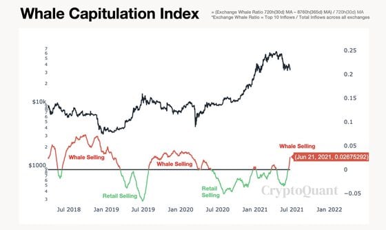 Whale capitulation index