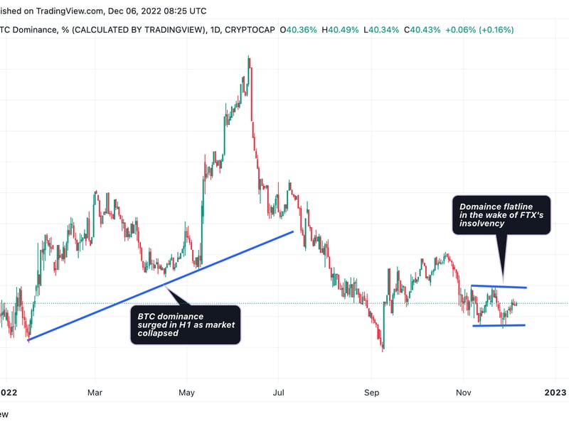 BTC's dominance surged early this year as the Fed tightening and Terra's collapse weighed over the crypto market. (TradingView/CoinDesk)