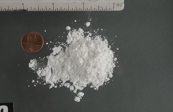 Cocaine powder image via U.S. Drug Enforcement Agency/Wikimedia Commons