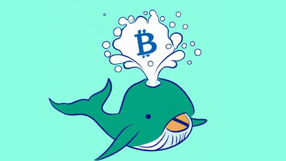 DO NOT USE: AI Artwork Whale Spout Bitcoin (DALL-E/CoinDesk)