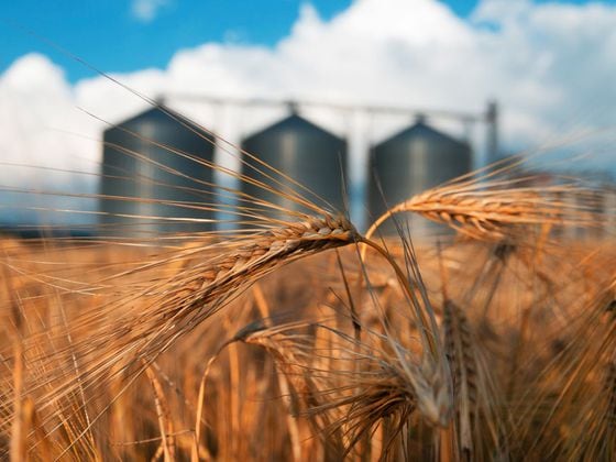 CDCROP: Wheat Silos Farming Farmland (Shutterstock)