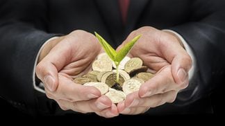 Seed funding (Shutterstock)