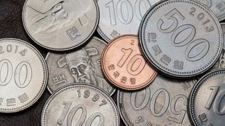 Korean won coins