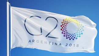 g20 flag