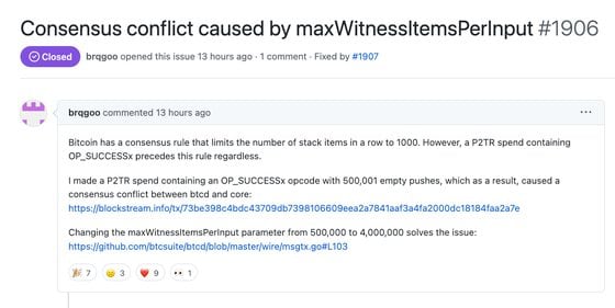 Consensus conflict caused by max Witness Items Per Input #1906 (Github)