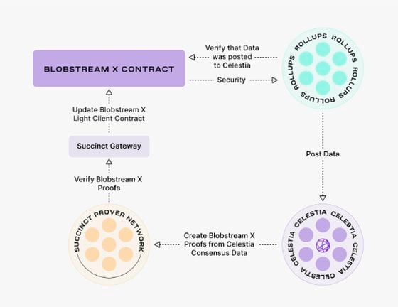 Blobstream x contract