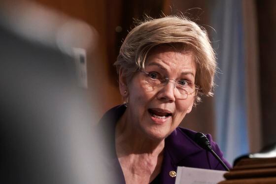 U.S. Senator Elizabeth Warren (Win McNamee/Getty Images)