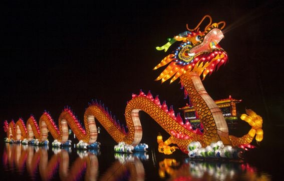 China, dragon, light