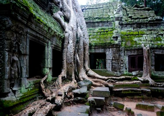 ANGKOR, CAMBODIA - JULY 26: Ta Prohm temple overgrown with tree roots, Siem Reap Province, Angkor, Cambodia on July 26, 2006 in Angkor, Cambodia.