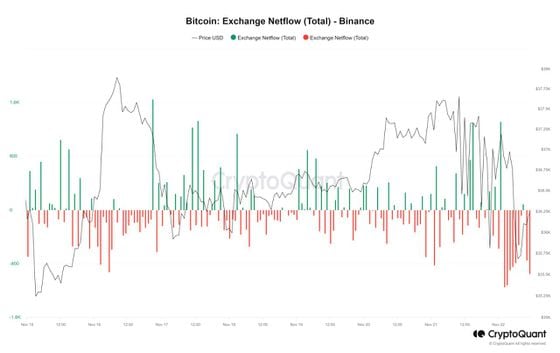 Bitcoin netflows are higher than usual, but not unusually large. (CryptoQuant)