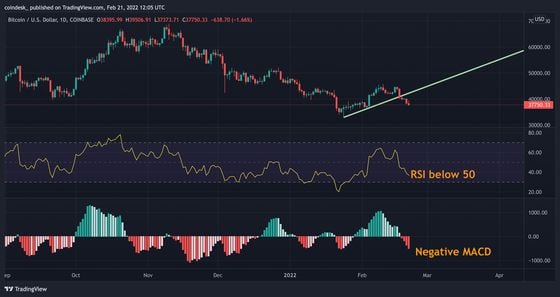 Bitcoin's daily chart with relative strength index and MACD histogram. (TradingView)