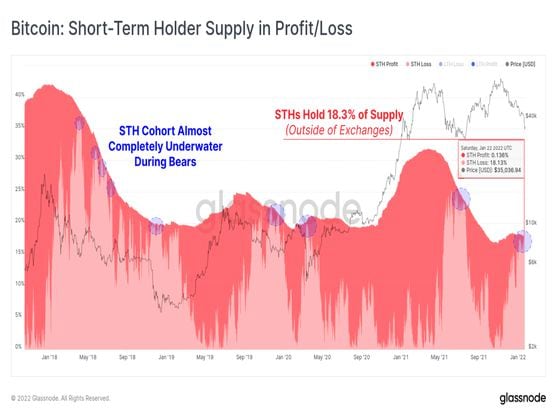 Short-term bitcoin holder supply in profit/loss (Glassnode)