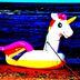 CDCROP: Unicorn float pool beach Uniswap (Unsplash/Modified by CoinDesk)
