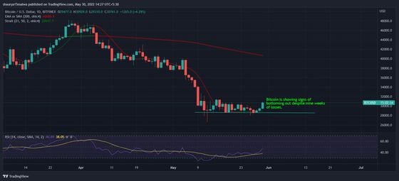Bitcoin is showing signs of  bottoming out despite nine weeks of losses. (TradingView)