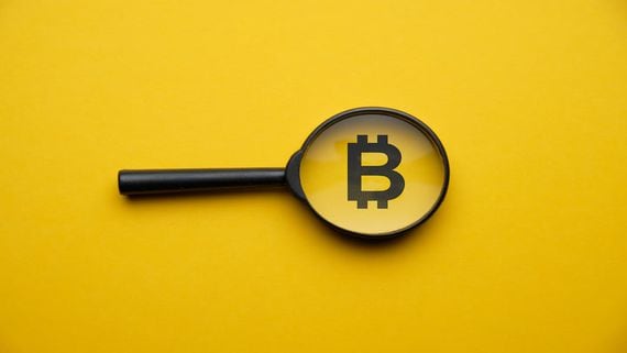 Is Bitcoin Too Big to Fall?