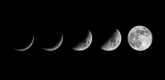 Moon phases (Shutterstock)