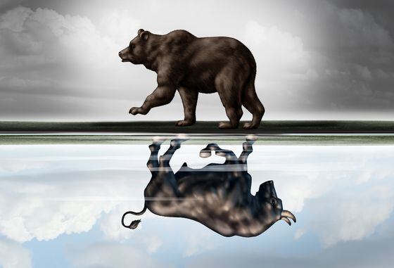 bull bear reflection