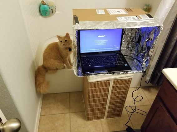 computer_cat