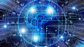 AI agents could be important 'buyers' of crypto, says Palantir (PLTR) co-founder. (Gerd Altmann/Pixabay)