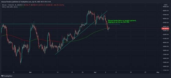 Bitcoin dipped below a weeks-long uptrend. (TradingView)