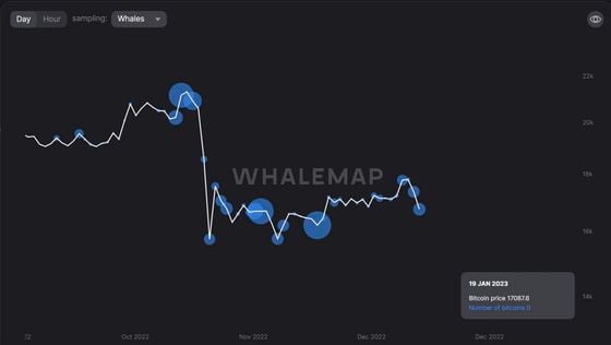 The chart shows renewed accumulation by whales since BTC fell below the June low in early November. (Whalemap)
