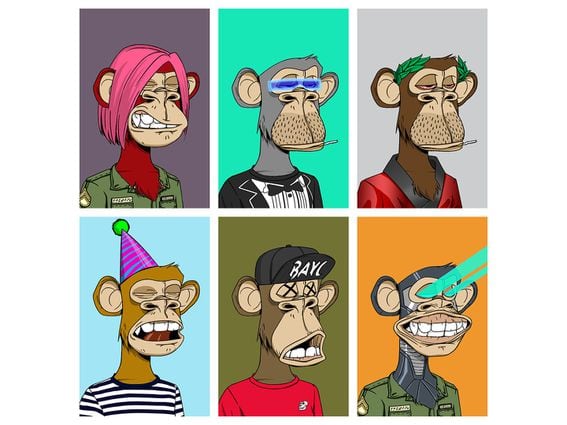CDCROP: The original Bored Ape Yacht Club NFT collection features right-facing cartoon apes. (Yuga Labs)