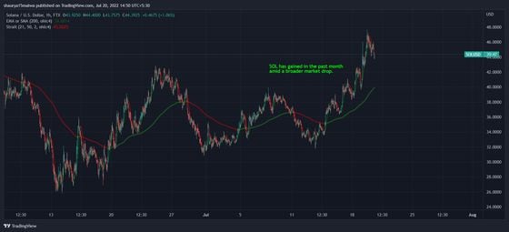 SOL has gained in the past month amid a broader market drop. (TradingView)