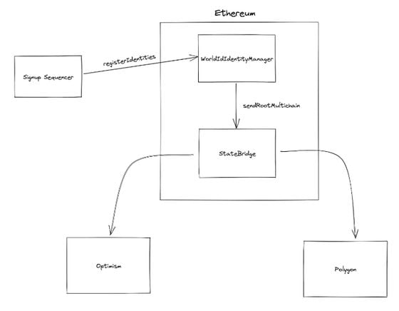 Schematic showing how Worldcoin's state bridge works. (Worldcoin)