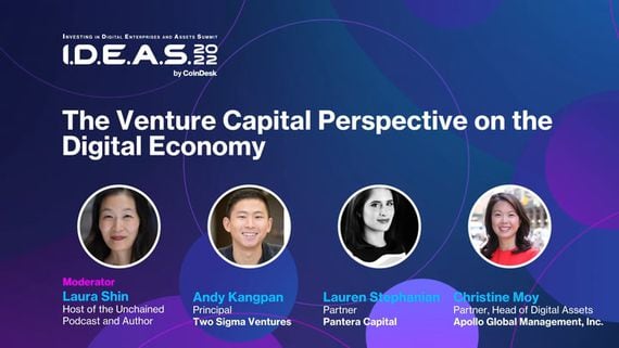 The Venture Capital Perspective on the Digital Economy