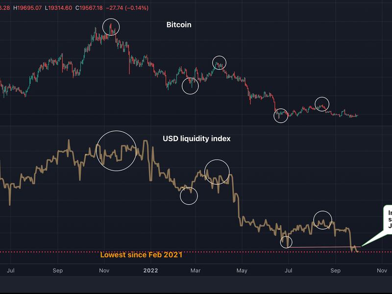 Chart shows local USD liquidity tops and bottoms from 2021 have coincided with major bitcoin price tops and bottoms. (TradingView)