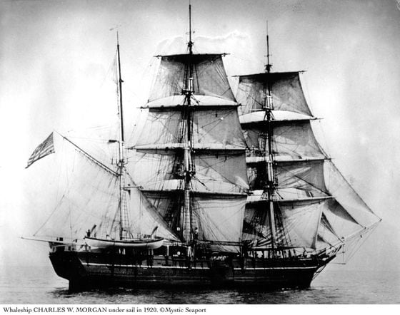  The Charles W Morgan is the last remaining wooden whaling ship in the world. It took its last whaling voyage in 1921.